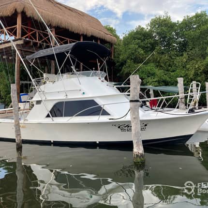 chilis Sportfishing Isla Mujeres